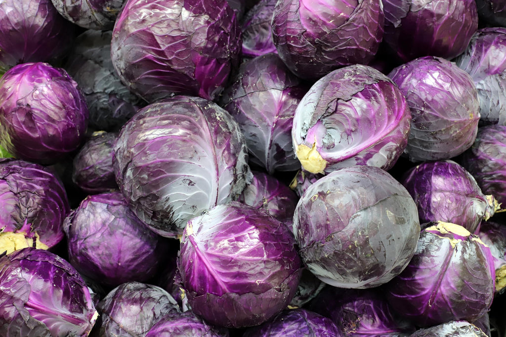 Fresh Organic Red Cabbages by RawJoy Farms, Pack of 2