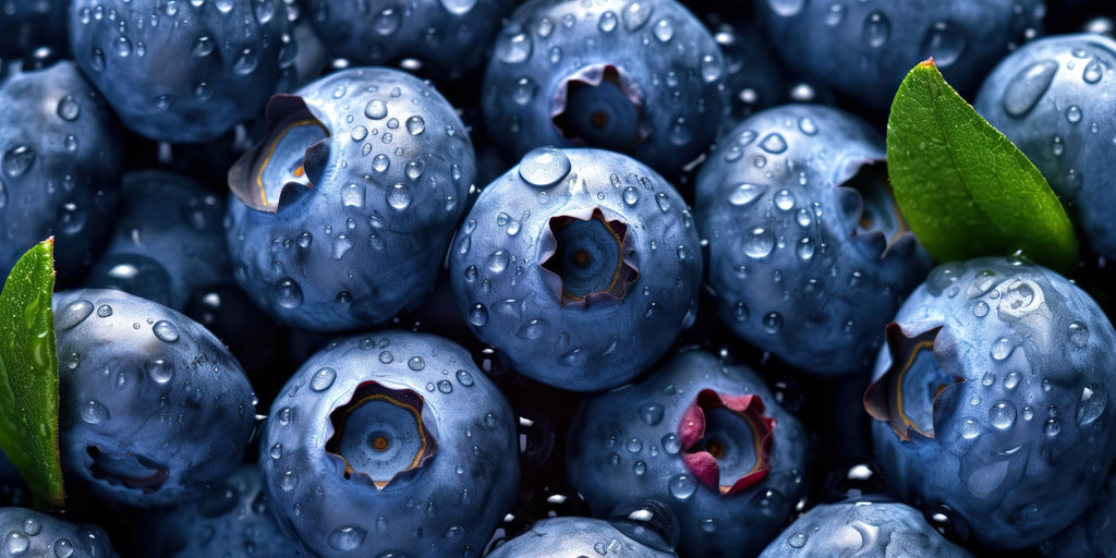 Fresh Blueberries by RawJoy Farms., 1 Pound
