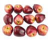 JEDFORE Artificial Lifelike Fake Dark Red Apple Simulation Red Delicious Apples Set Fake Fruit for Home House Kitchen Wedding Party Decoration Photography - Set of 12