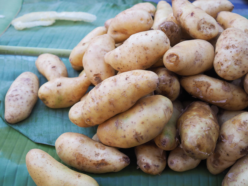 Fresh Organic Fingerling Potatoes by RawJoy Farms