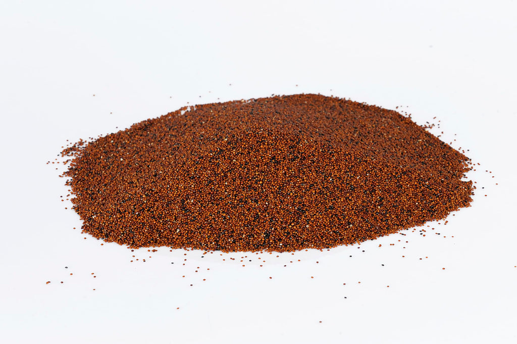Fresh Red Quinoa By RawJoy | Organic Fresh Red Quinoa Beans, 10 Pound
