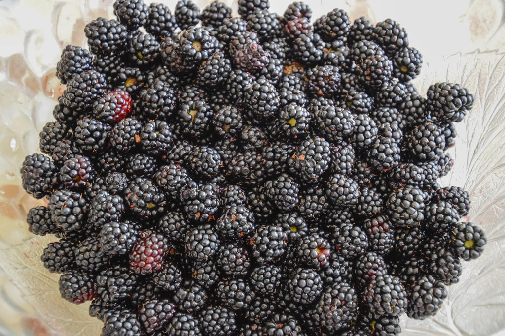 Fresh Delicious Blackberries by RawJoy Farms, 2 Pound