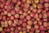 Fresh Pink Lady delicious apples by RawJoy Farms,2 Pound