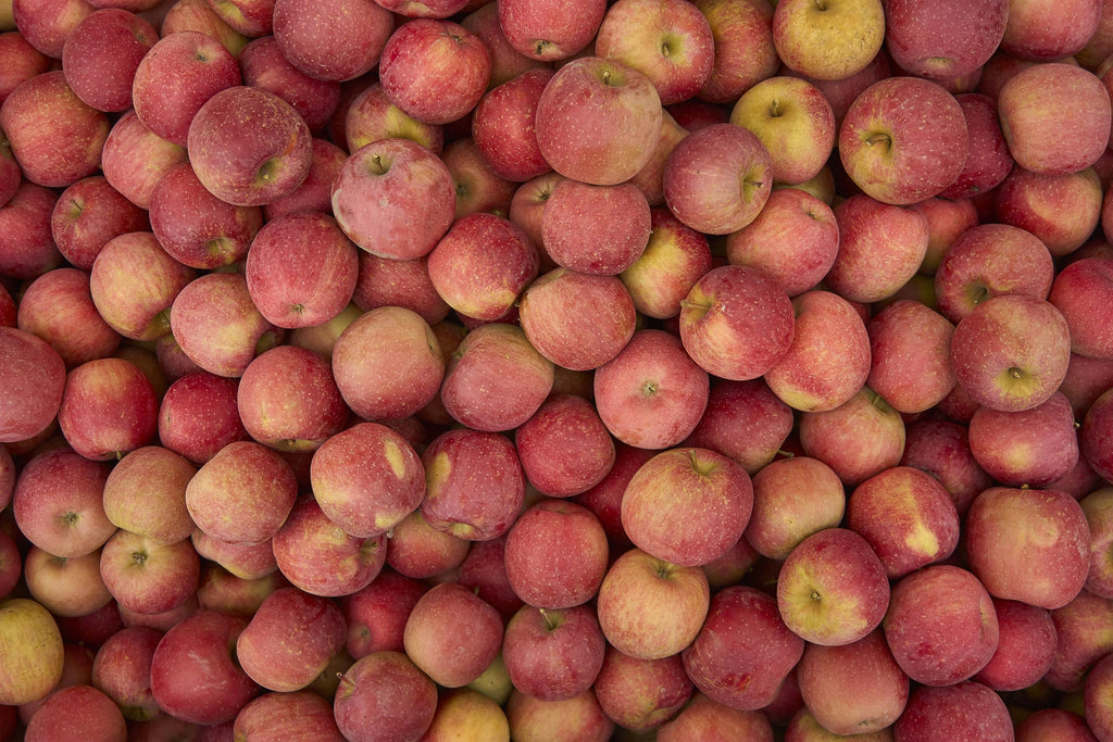 Fresh Pink Lady delicious apples by RawJoy Farms,2 Pound