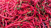 Fresh Spicy Red Thai Chili by RawJoy Farms