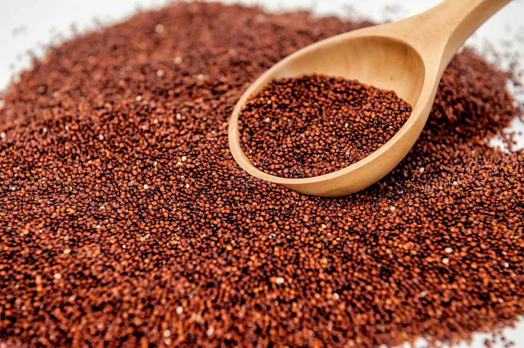 Fresh Red Quinoa By RawJoy | Organic Fresh Red Quinoa Beans, 10 Pound