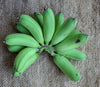 Fresh Organic Green Plantain Bananas by RawJoy Farms, 1 Pound