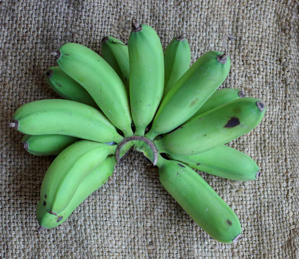 Fresh Organic Green Plantain Bananas by RawJoy Farms, 1 Pound