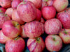 Fresh delicious Fuji apples by RawJoy Farms, (1 Pound)