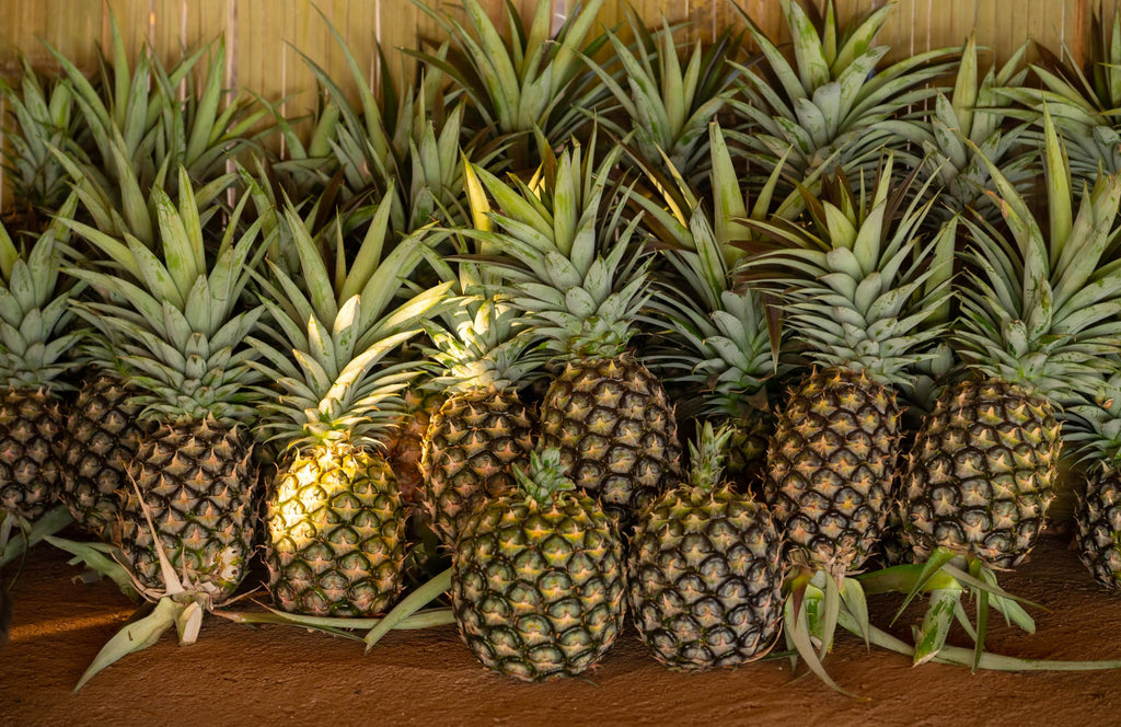 Fresh Delicious Pineapple by RawJoy Farms, 1 Pound