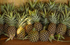 Fresh Delicious Pineapple by RawJoy Farms, 1 Pound