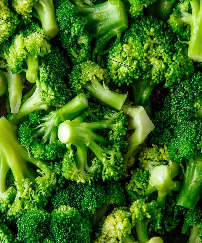 250+ Organic Di Cicco Broccoli Seeds for Planting - Heirloom Non-GMO