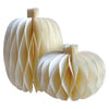 The Halloween Collection Cream Paper Halloween Pumpkins 1 each