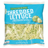 Little Salad Bar Shredded Lettuce 8 oz