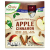 Lunch Buddies Apple Cinnamon Applesauce Squeezies, 12 count 38.4 oz