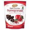 Choceur Pomegranate Dark Chocolate 7 oz