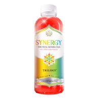 Gt's Living Foods Organic Synergy Trilogy Unpasteurized Raw Kombucha 16
