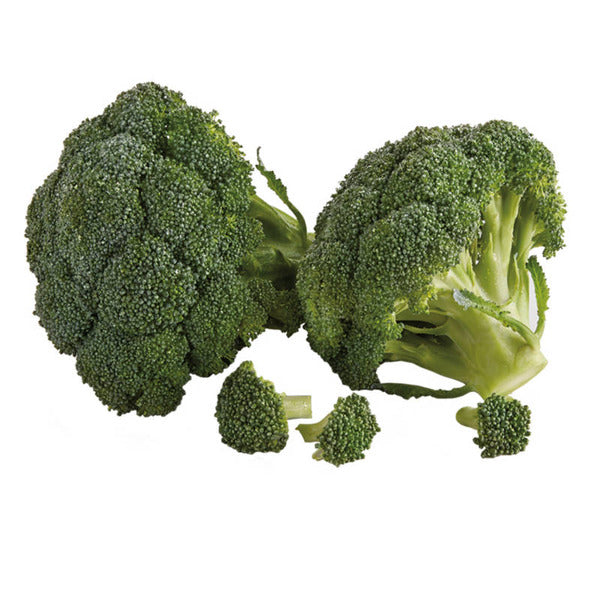 Organic Broccoli 1 ct