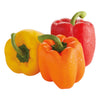 Multi-Colored Peppers 3 ct