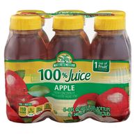 Nature's Nectar 100% Apple Juice Bottles - 6 Pack, 8 fl oz Bottles 48 fl oz