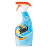 Shout Dye Fragrance Free Laundry Stain Remover 22 fl oz
